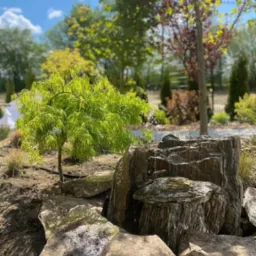 Kaskada wodna z kamienia w ogrodzie, obok małe drzewko z jasnozielonymi liśćmi, w tle inne drzewa i krzewy.