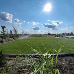 Trawa z rolki Łęczna 4