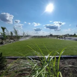 Automatyczne nawadnianie świeżo założonego trawnika z rolki, widok z bliska na roślinność ozdobną na pierwszym planie, błękitne niebo z promieniami słońca w tle.