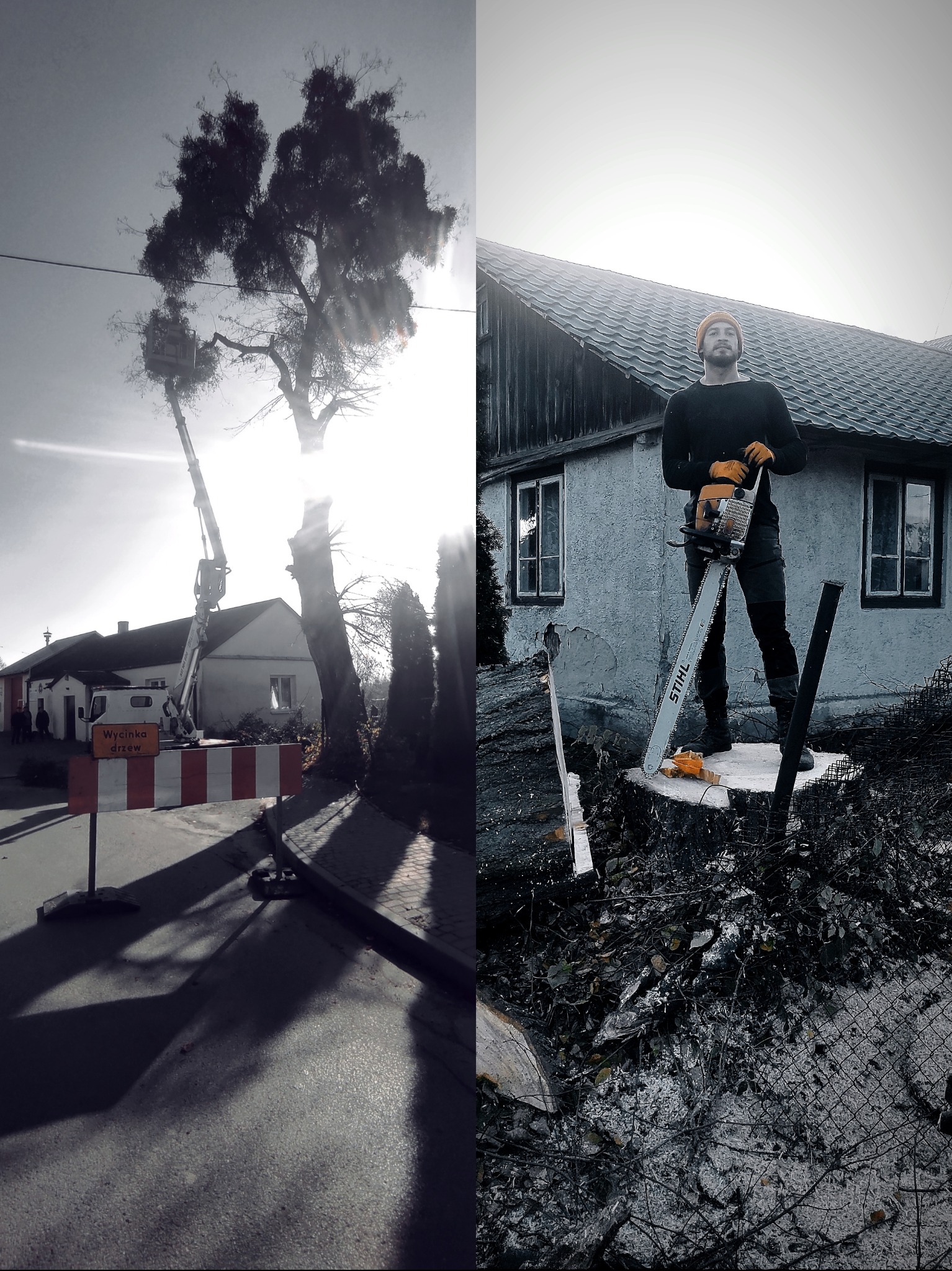Dwie sceny: wycinka drzew z podnośnika koszowego przy drodze z oznakowaniem i mężczyzna z piłą spalinową Stihl stojący na pniu drzewa z resztkami gałęzi przed budynkiem.