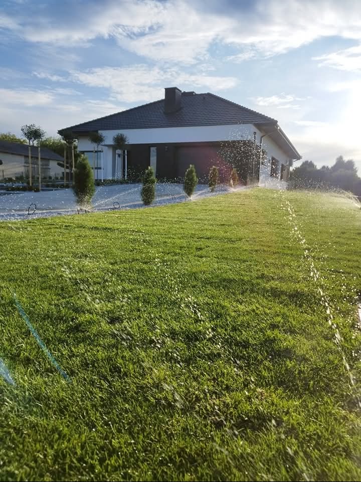 Automatyczne nawadnianie trawnika przed nowoczesnym domem jednorodzinnym z małymi drzewkami ozdobnymi w słoneczny dzień.