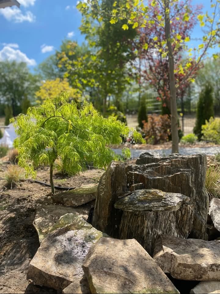 Kaskada wodna z kamienia w ogrodzie, obok małe drzewko z jasnozielonymi liśćmi, w tle inne drzewa i krzewy.