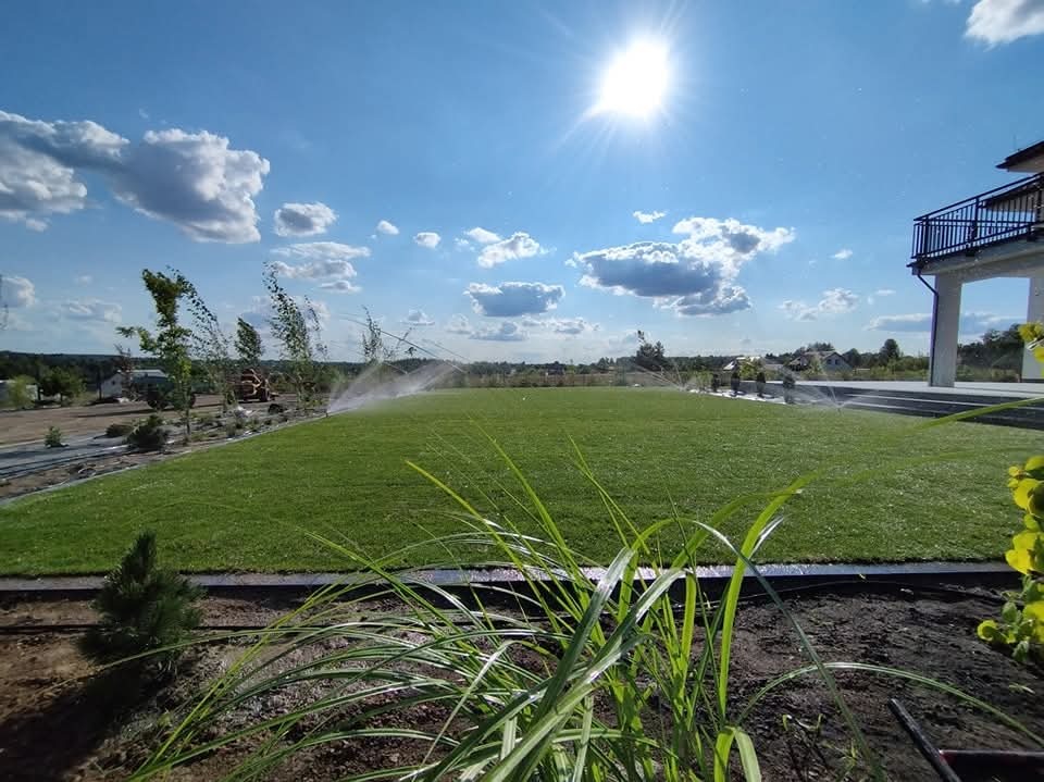 Automatyczne nawadnianie świeżo założonego trawnika z rolki, widok z bliska na roślinność ozdobną na pierwszym planie, błękitne niebo z promieniami słońca w tle.