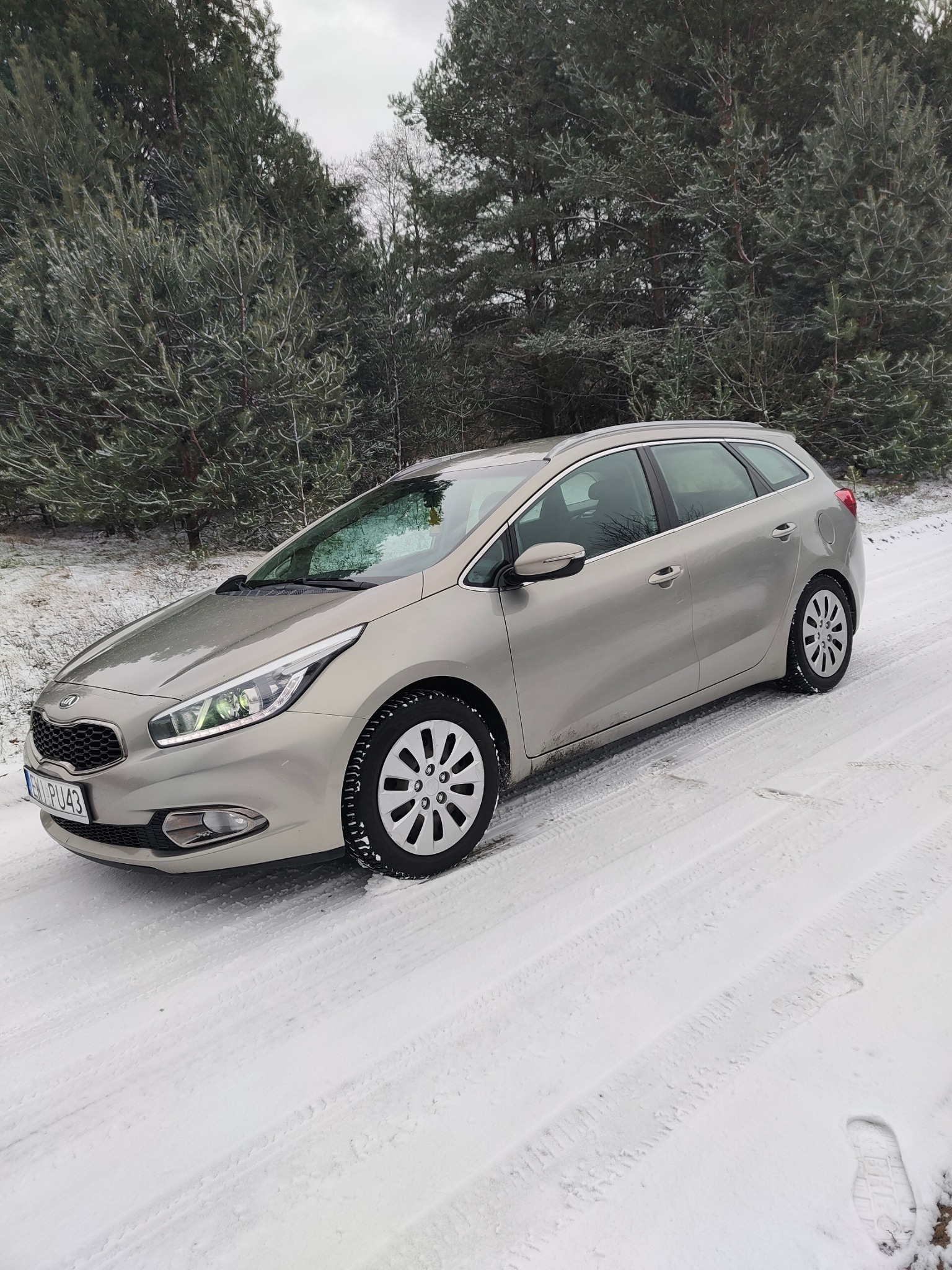 Jasnoszary samochód kombi marki Kia Ceed zaparkowany na ośnieżonej drodze leśnej w zimowy dzień.