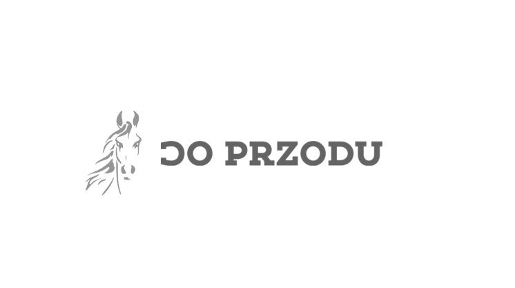 Szary logotyp z wizerunkiem końskiej głowy i napisem 'DO PRZODU' na białym tle. Minimalistyczny design, czcionka bezszeryfowa, stonowana kolorystyka.