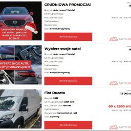 Leasing samochodu Jelenia Góra 3