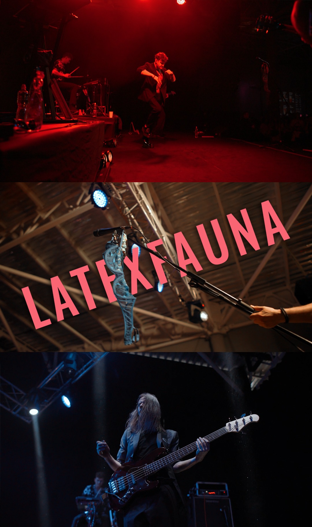 Kolaż zdjęć z koncertu: wokalista tańczący na czerwonej scenie, mikrofon z rekwizytem i napisem 'LATEXFAUNA', basista grający na scenie.