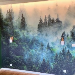 EKOKORBUD Ryszard Kozioł - Fototapeta z motywem mglistego lasu iglastego na ścianie w pokoju, drewniana podłoga, zielona ściana po lewej stronie, widoczne gniazdka elektryczne i włączniki światła.