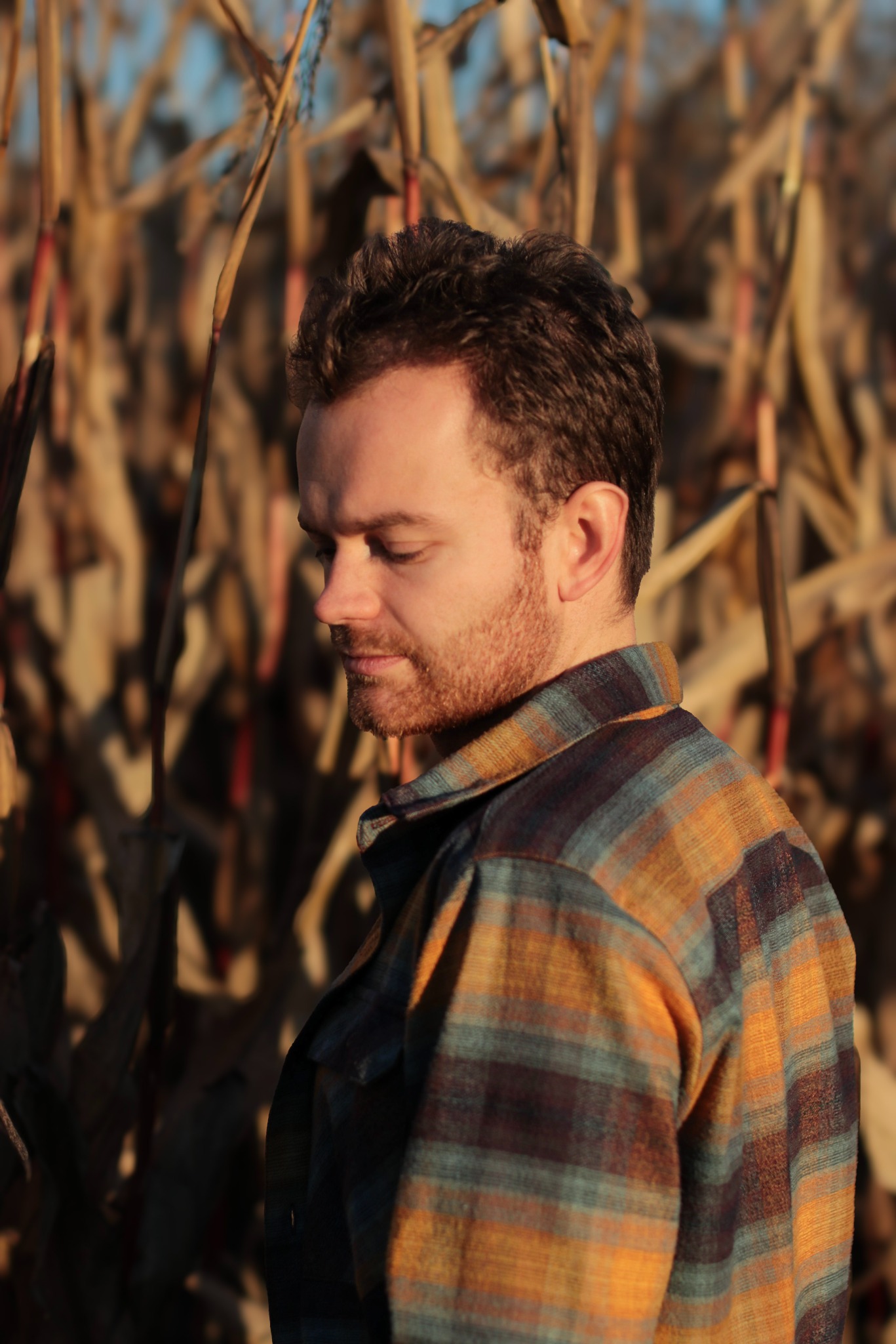 Portret mężczyzny w koszuli w kratę, stojącego na tle wysuszonego pola kukurydzy, z delikatnym oświetleniem podkreślającym rysy twarzy i teksturę ubrania.