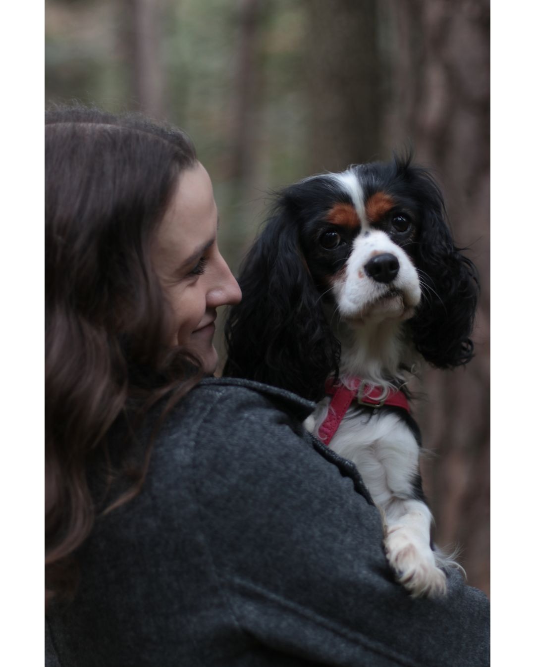 Kobieta z profilu uśmiecha się, trzymając psa rasy Cavalier King Charles Spaniel na rękach, las w tle.