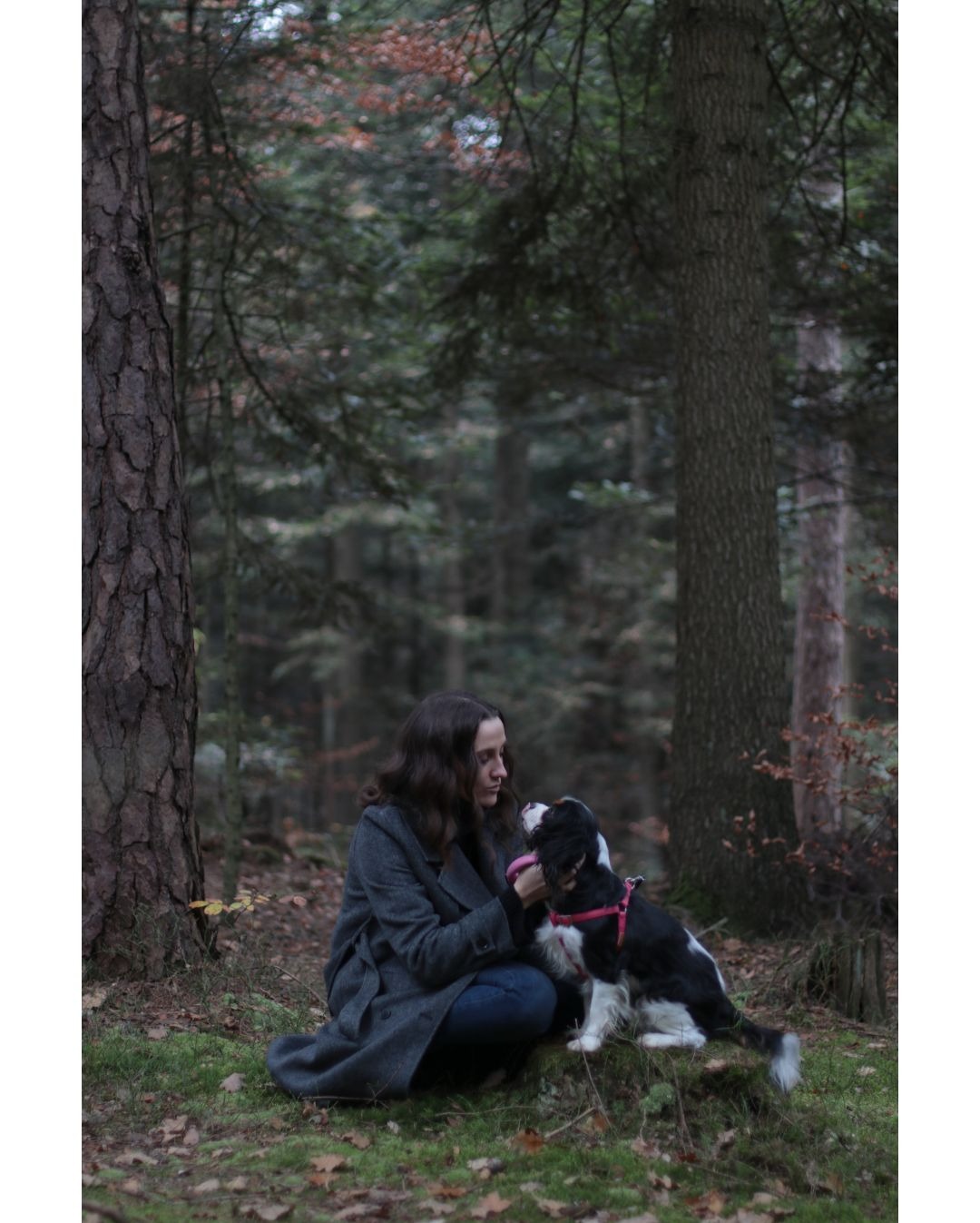 Kobieta w szarym płaszczu kuca w lesie, trzymając pyszczek czarno-białego psa rasy Cavalier King Charles Spaniel z różową obrożą.