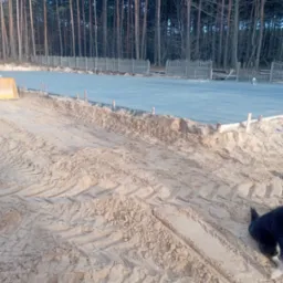 Świeżo wylany beton na przygotowanym terenie, widoczne ślady opon i fragment psa w prawym dolnym rogu, w tle las.