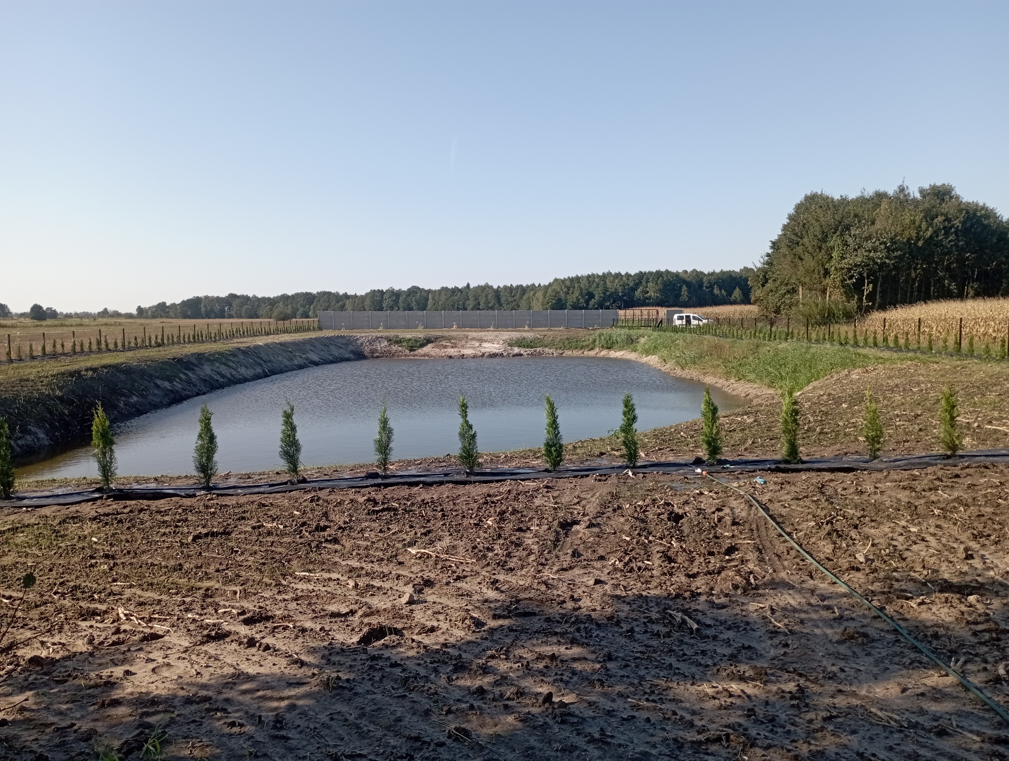 Sztuczny zbiornik wodny otoczony ziemią, zabezpieczony folią i obsadzony młodymi tujami. W tle widoczny mur oporowy, drzewa i kukurydza.