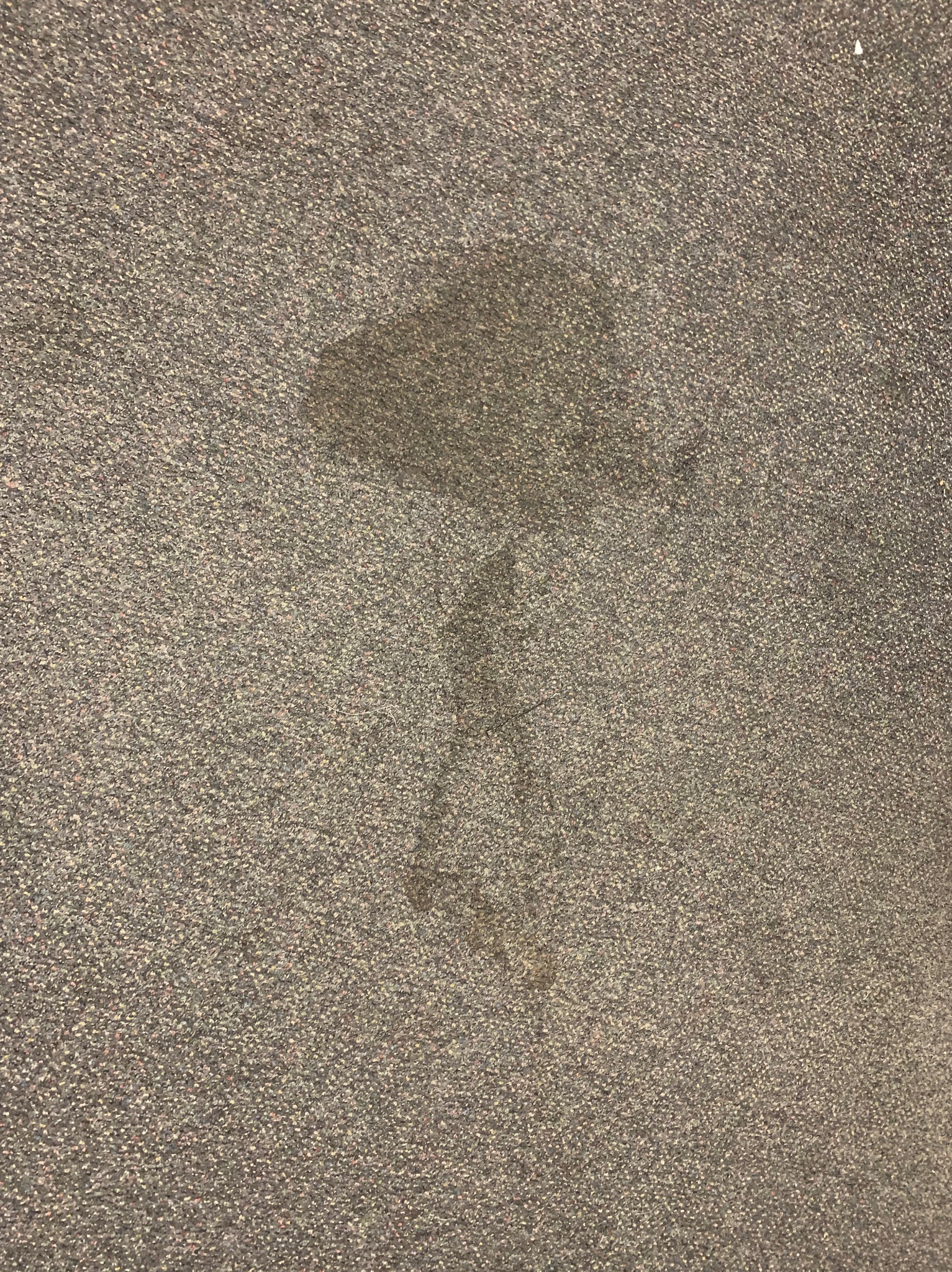 Plama w kształcie krzesła na szarym dywanie o drobnej fakturze.