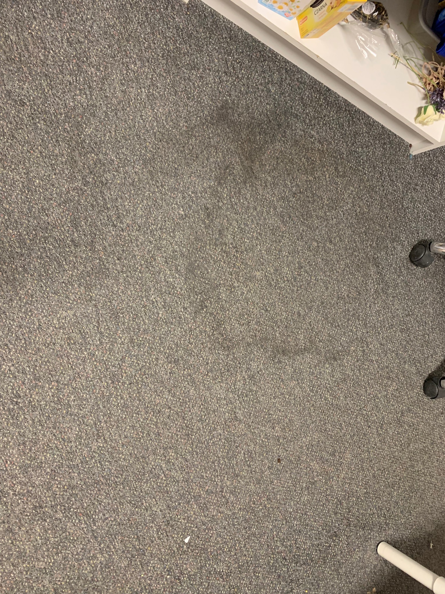 Szary dywan z widocznymi plamami, fragment biurka z herbatą i kwiatami w rogu, kółka od krzesła