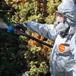 ARSENBUD ANTON SOLOVIOV - Zwalczanie komarów, kleszczy, meszek.