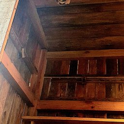 ARSENBUD ANTON SOLOVIOV - Tak wygląda gniazdo zbudowane przez szerszenie