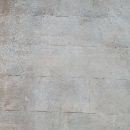 Dezynsekcja i deratyzacja Piaseczno 4