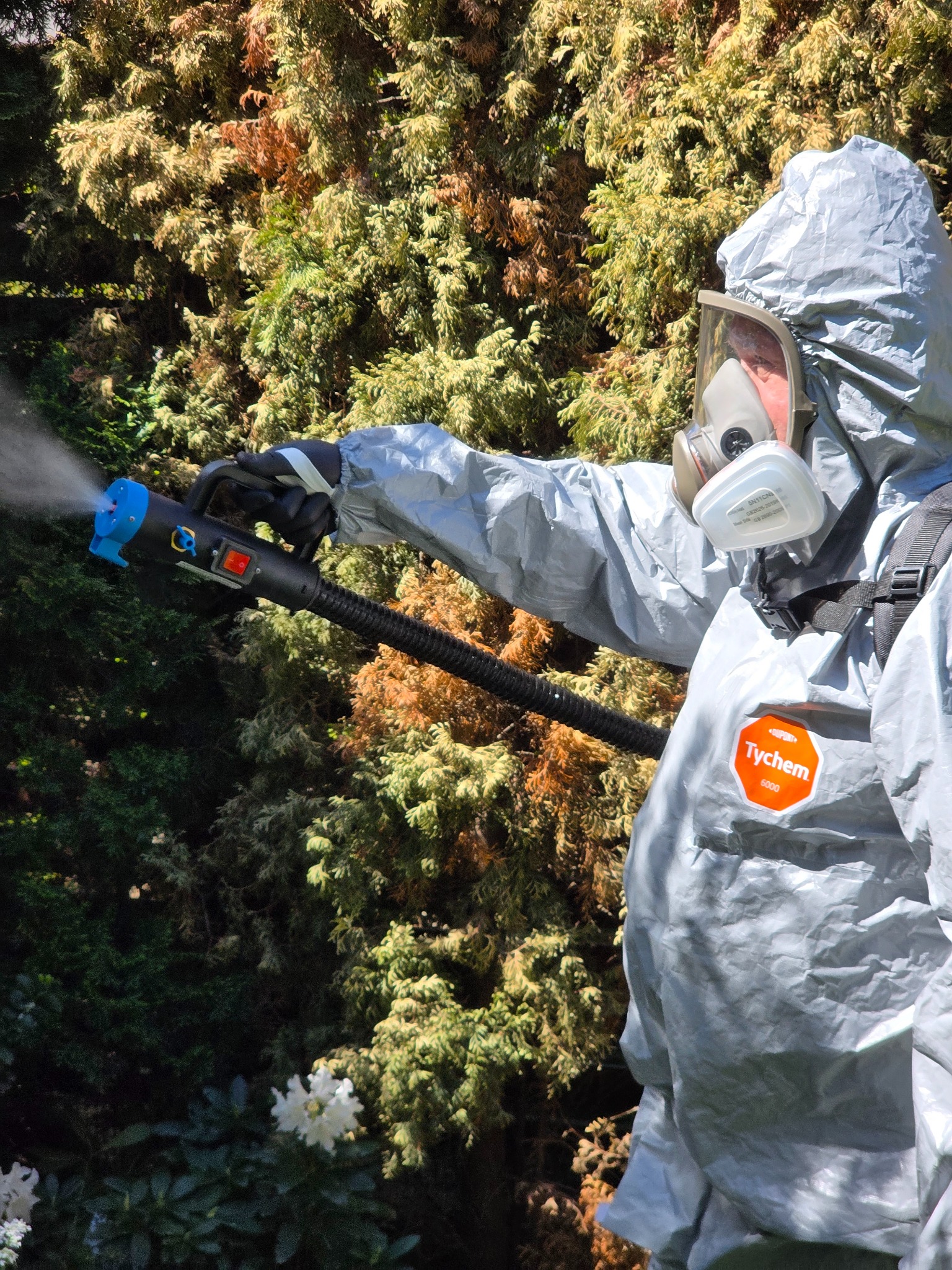 Zwalczanie komarów, kleszczy, meszek.