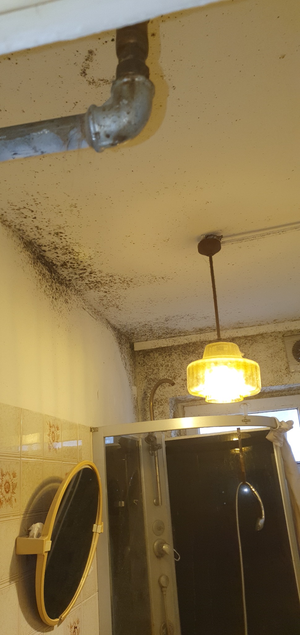 Grzyb na suficie i ścianie w łazience. Widoczna armatura i kabina prysznicowa. Usługi dezynfekcji w Piasecznie.
