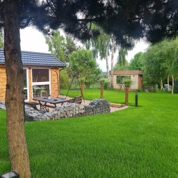 Wycinka drzew Gdynia 4