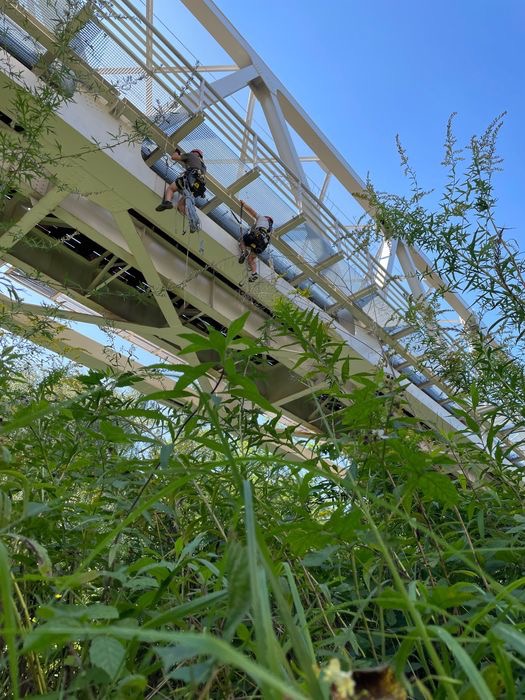 Dwóch pracowników zabezpieczonych linami wykonuje prace na wysokościach na konstrukcji stalowej mostu, widoczne z poziomu bujnej roślinności.