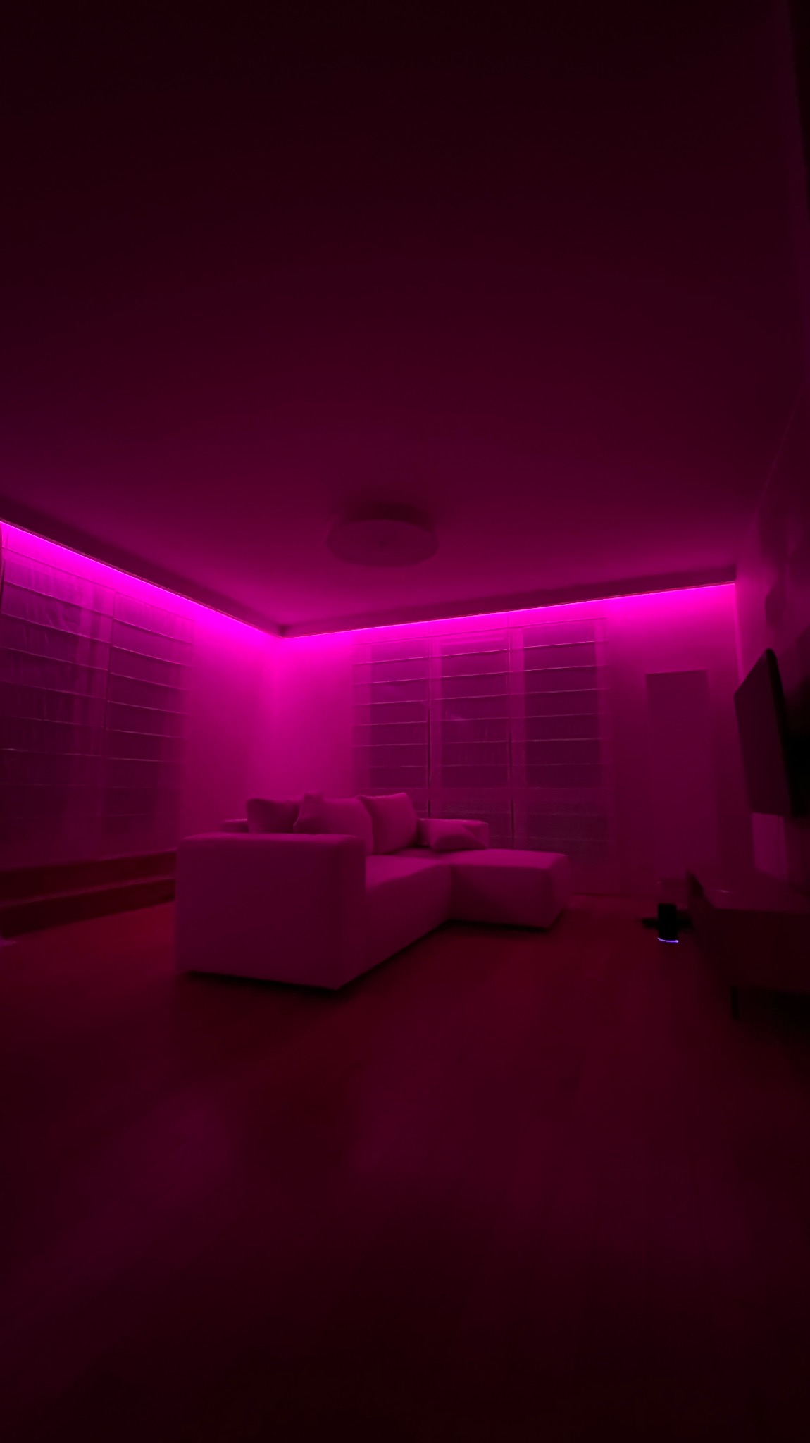 Nowoczesny salon z narożnikiem oświetlony intensywnym różowym światłem LED zamontowanym pod sufitem, widoczne rolety rzymskie w oknach.