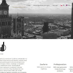 Tworzenie stron internetowych Koźminek 3