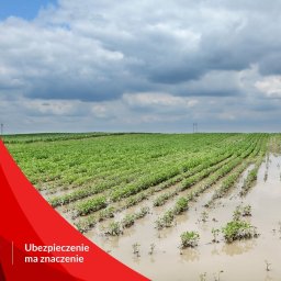 Ubezpieczenie mieszkania Łapy 1