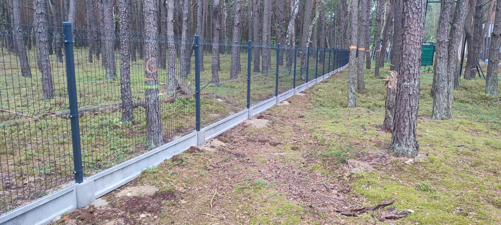 Nowoczesne ogrodzenie panelowe z siatki z podmurówką betonową, zamontowane w lesie sosnowym.