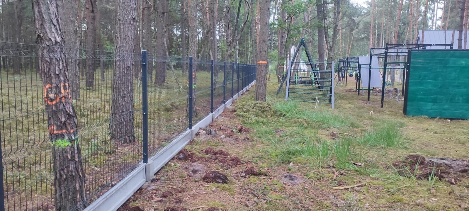 Nowoczesne ogrodzenie z siatki panelowej na betonowej podmurówce, otoczone sosnowym lasem z pomarańczowymi oznaczeniami na pniach drzew.