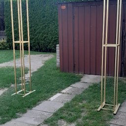 Wycinka drzew Władysławów 2