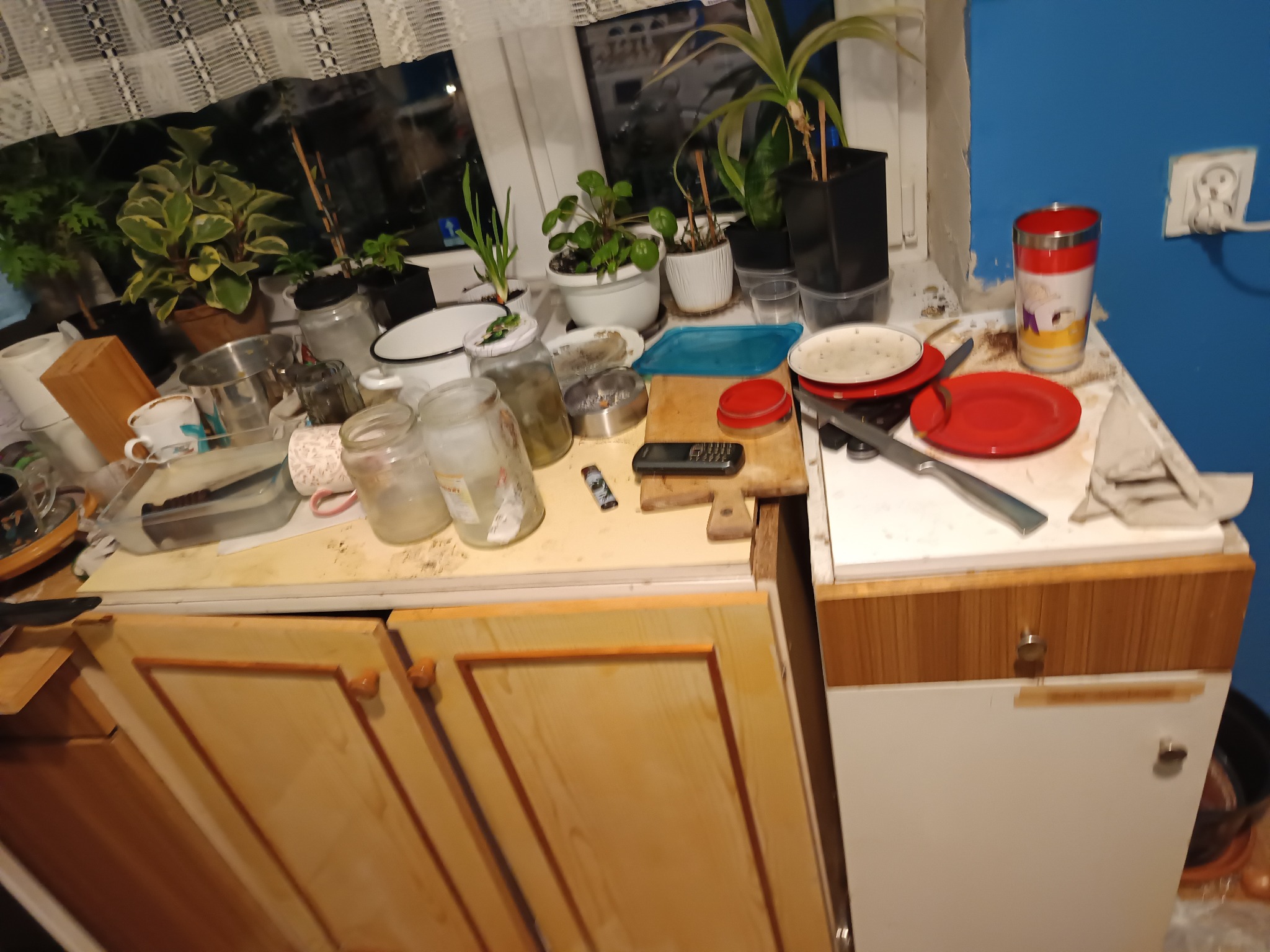 Przed sprzątaniem: Zagracona kuchnia z roślinami w doniczkach na blacie, brudnymi naczyniami, pustymi słoikami i narzędziami na drewnianej desce do krojenia.