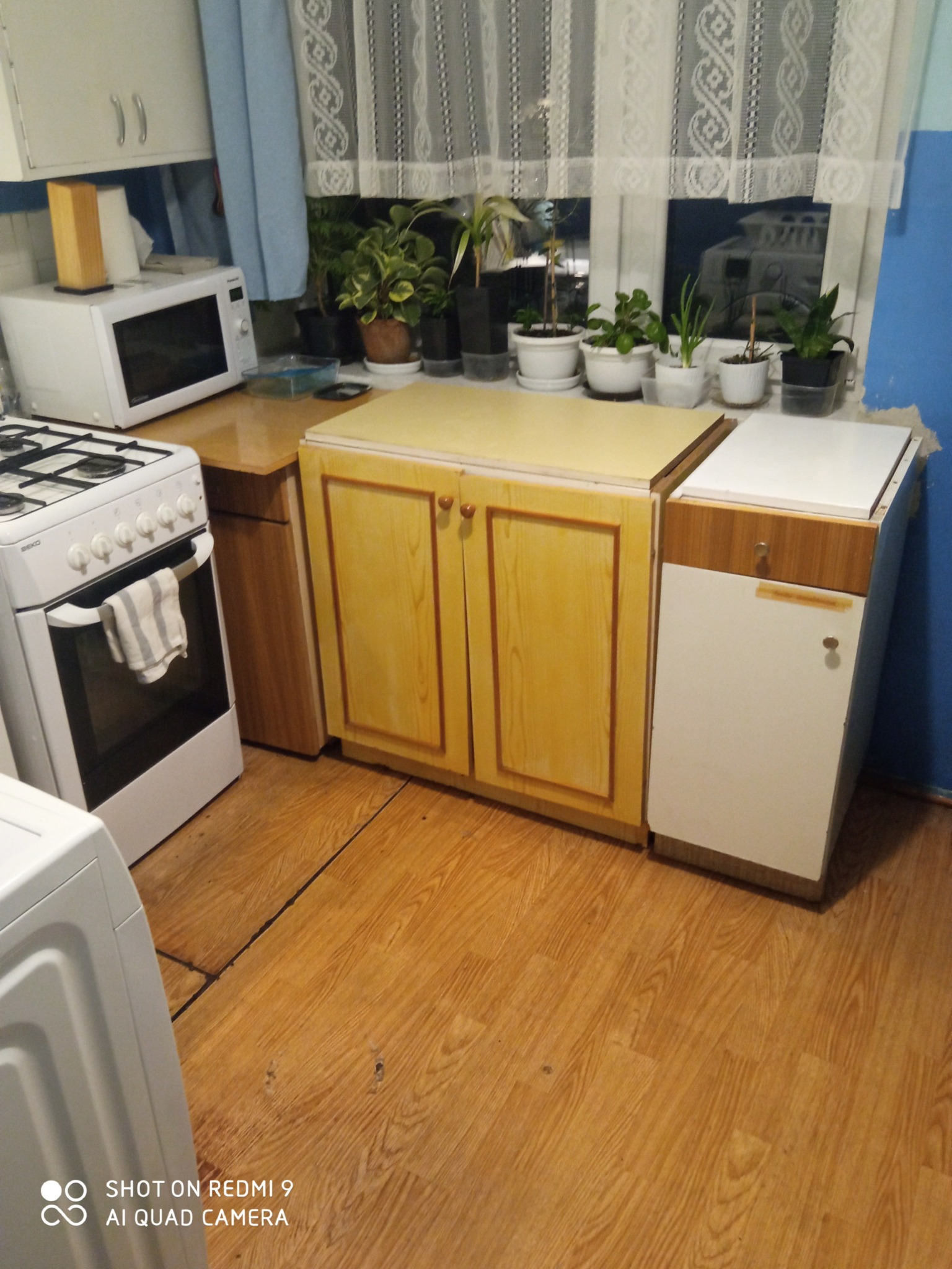 Kuchnia z żółtymi szafkami, białym piekarnikiem z szarą ściereczką na uchwycie, mikrofalówką i roślinami w doniczkach na parapecie okna z koronkową firanką.