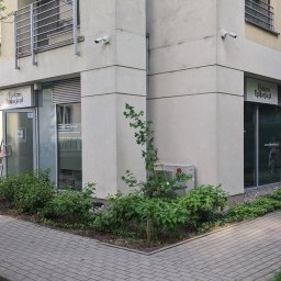 Warsztat Reklamy - Komplet pracy: Kasetony Folia MROŻONKA i wycięta biała.