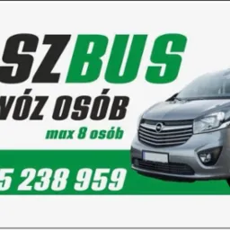 Szary bus Opel Vivaro z napisem 'NASZBUS Przewóz Osób max 8 osób' i numerem telefonu na białym tle. Reklama firmy transportowej.