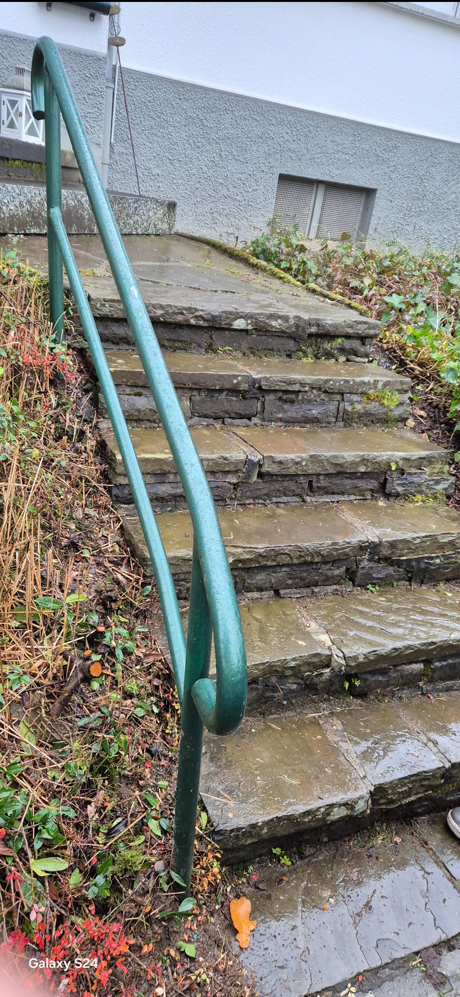 Zewnętrzne kamienne schody z zieloną metalową poręczą, częściowo porośnięte mchem, otoczone roślinnością.