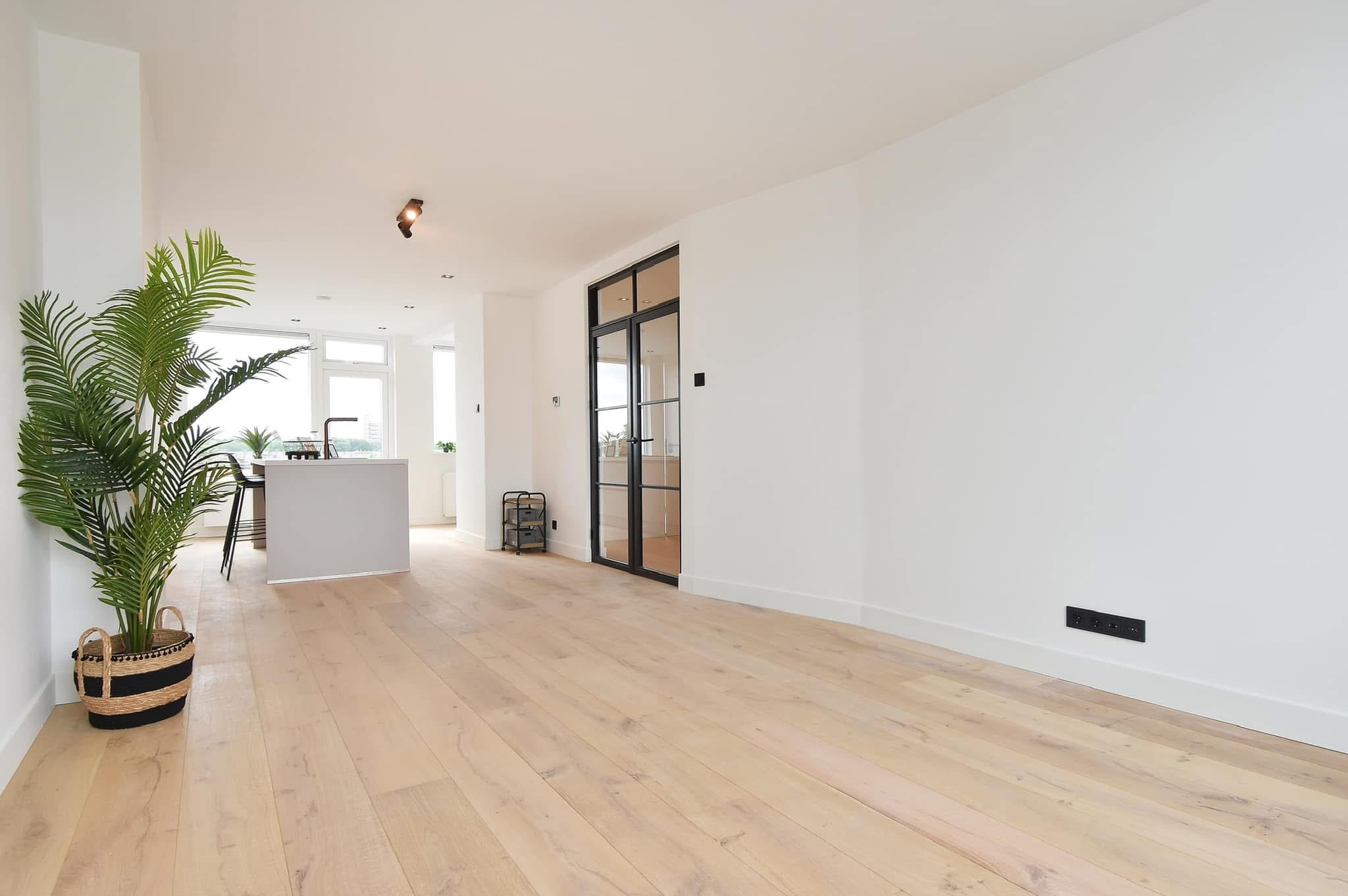 Jasne, przestronne wnętrze z parkietem, minimalistyczną kuchnią z wyspą i czarną stolarką drzwiową. Wyeksponowane gniazdka elektryczne w czarnej ramce na białej ścianie. Roślina doniczkowa...