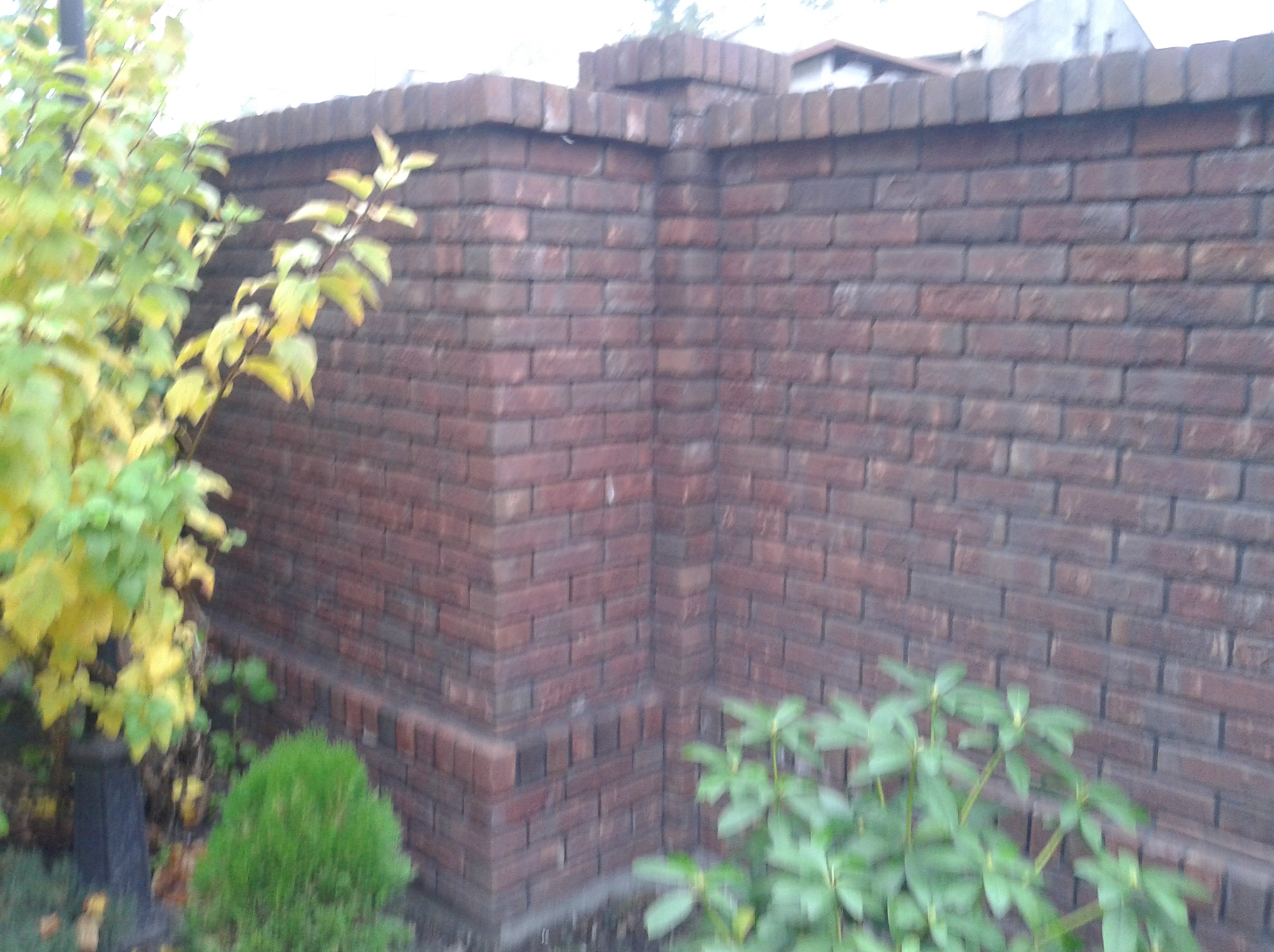 Ceglany mur ogrodzeniowy z widocznym narożnikiem i roślinnością w tle, wykonany z czerwonej cegły.