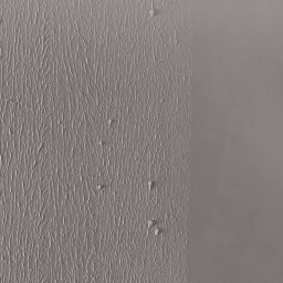 Marcin Gołąbek - Świeżo nałożona, szara warstwa wykończeniowa z widocznymi śladami pędzla i nierównościami, przylegająca do gładkiej, pomalowanej powierzchni ściany.