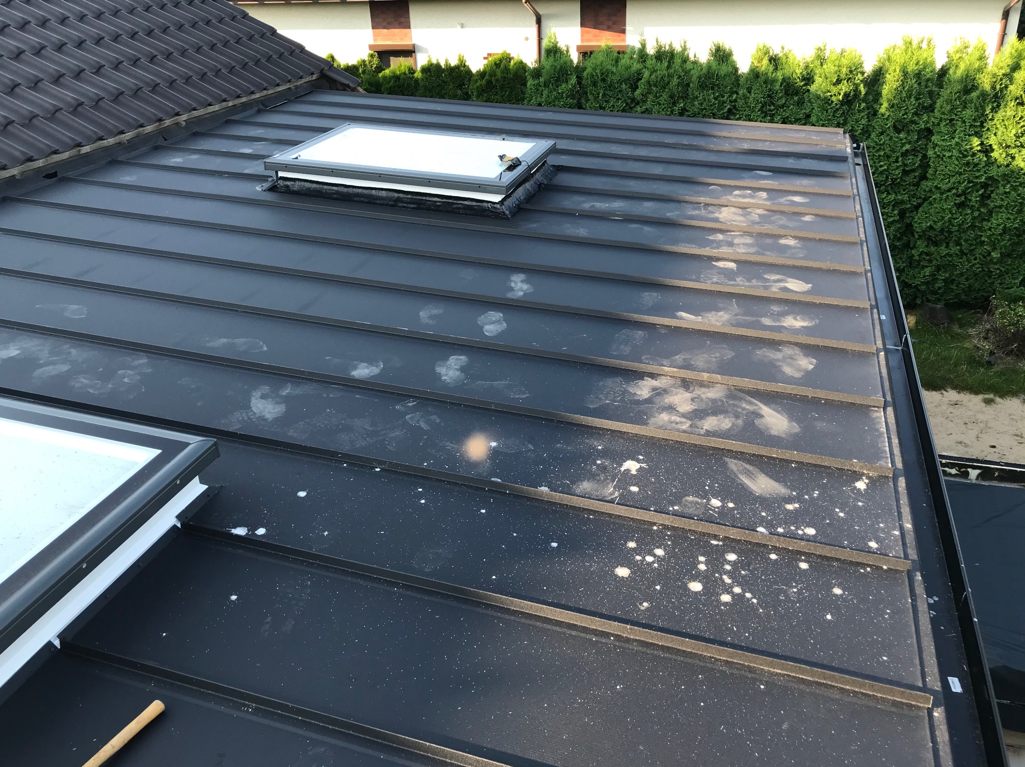 Czarny dach z blachy trapezowej z dwoma oknami dachowymi, widoczne ślady zabrudzeń i białe plamy, w tle zielone tuje i fragment budynku.