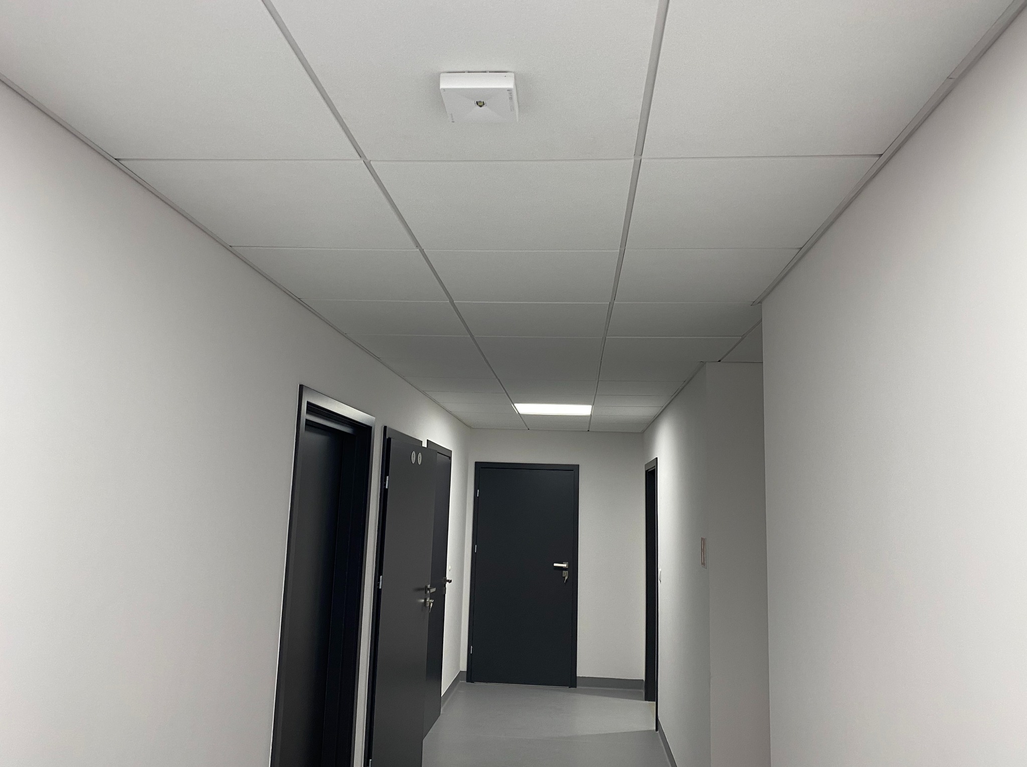 Sufit typu Armstrong