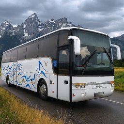 Przewóz osób Żyrardów 1