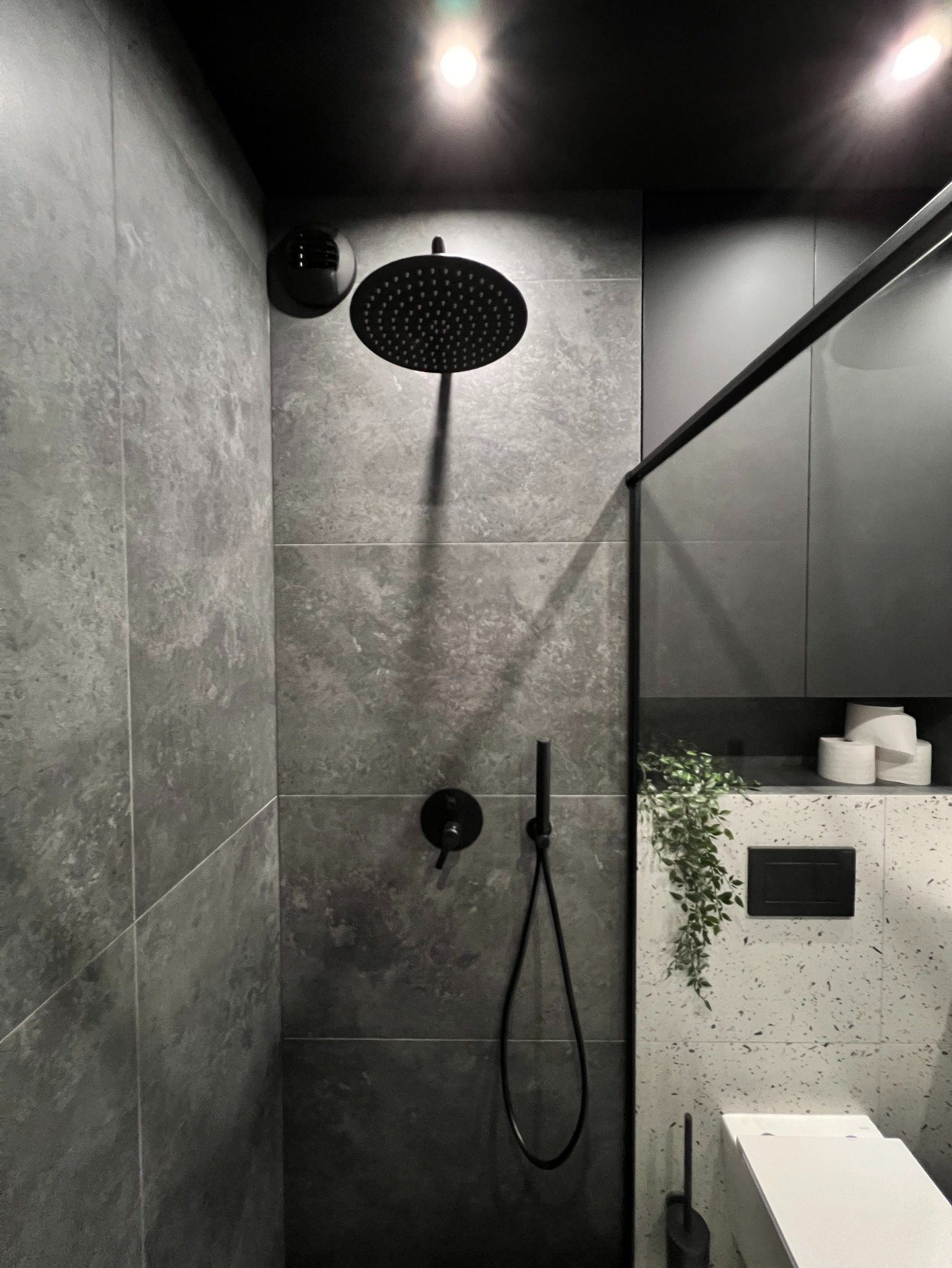 Nowoczesna kabina prysznicowa z deszczownicą w odcieniach szarości i czerni, wykończona płytkami imitującymi kamień. Minimalistyczny design z akcentem roślinnym.
