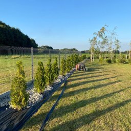 Komplexbud Yuliia Hedikova - Montaż ogrodzenia panelowego z nasadzeniami: rząd tuj i kamieni wzdłuż siatki, pracownik na kolanach przy sadzeniu drzewek na trawniku.