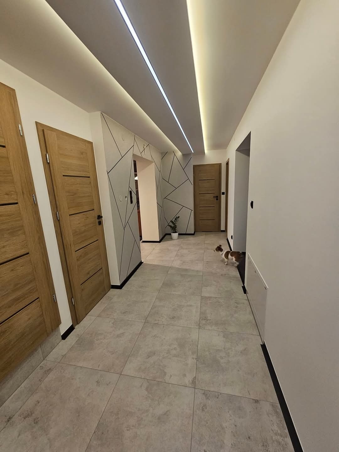 Nowoczesny korytarz z podświetlanym sufitem, geometrycznymi wzorami na ścianie i drewnianymi drzwiami, wykończony szarą płytką podłogową. Kot w oddali.