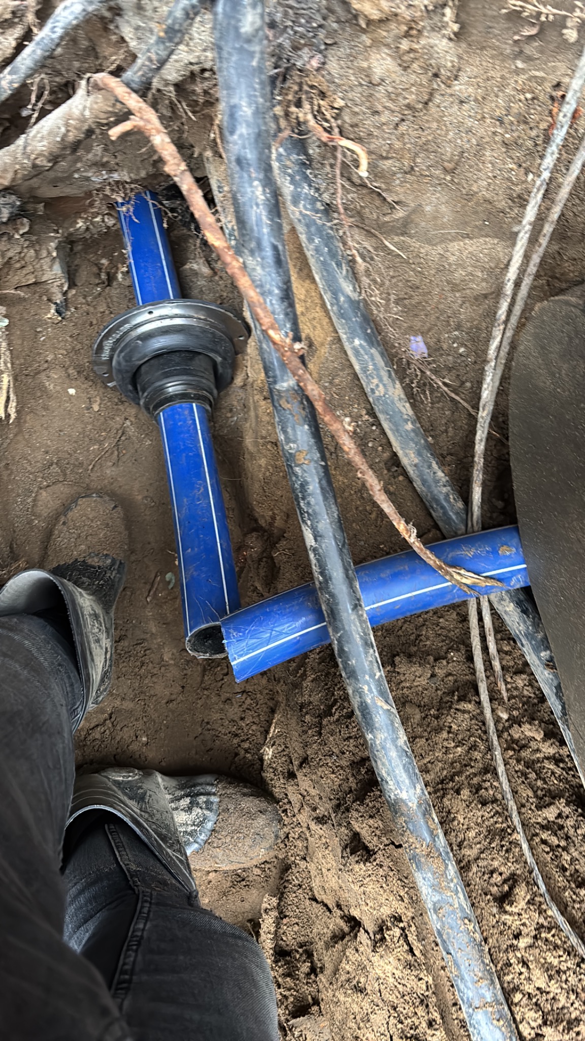 Niebieskie rury wodociągowe z czarnym łącznikiem w wykopie, obok czarne rury i kabel. Widoczny fragment buta w błocie. Prace ziemne.
