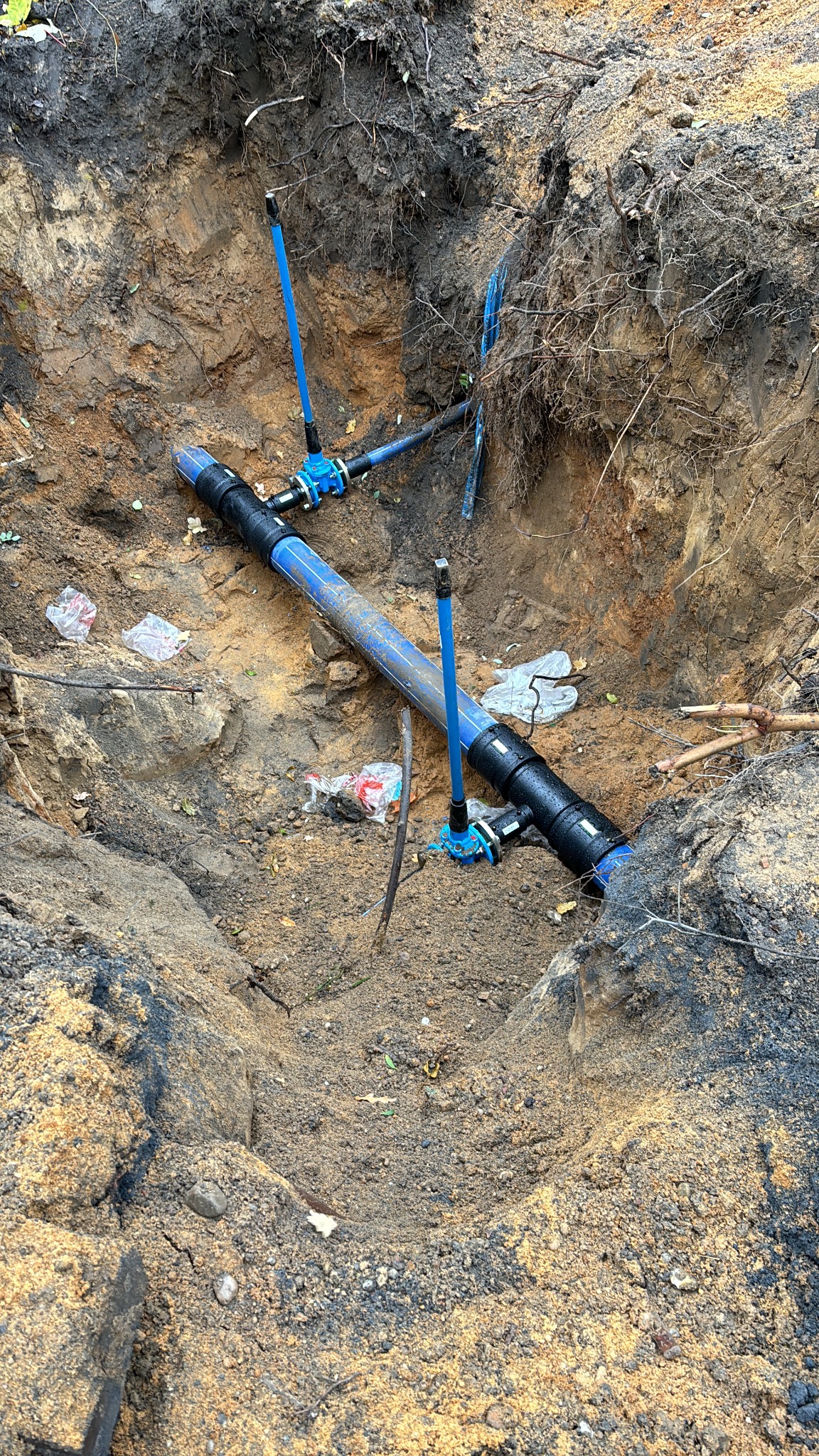 Niebieskie rury wodociągowe z czarnymi złączkami w wykopie ziemnym, widoczne korzenie drzew i śmieci. Instalacja w trakcie prac ziemnych.