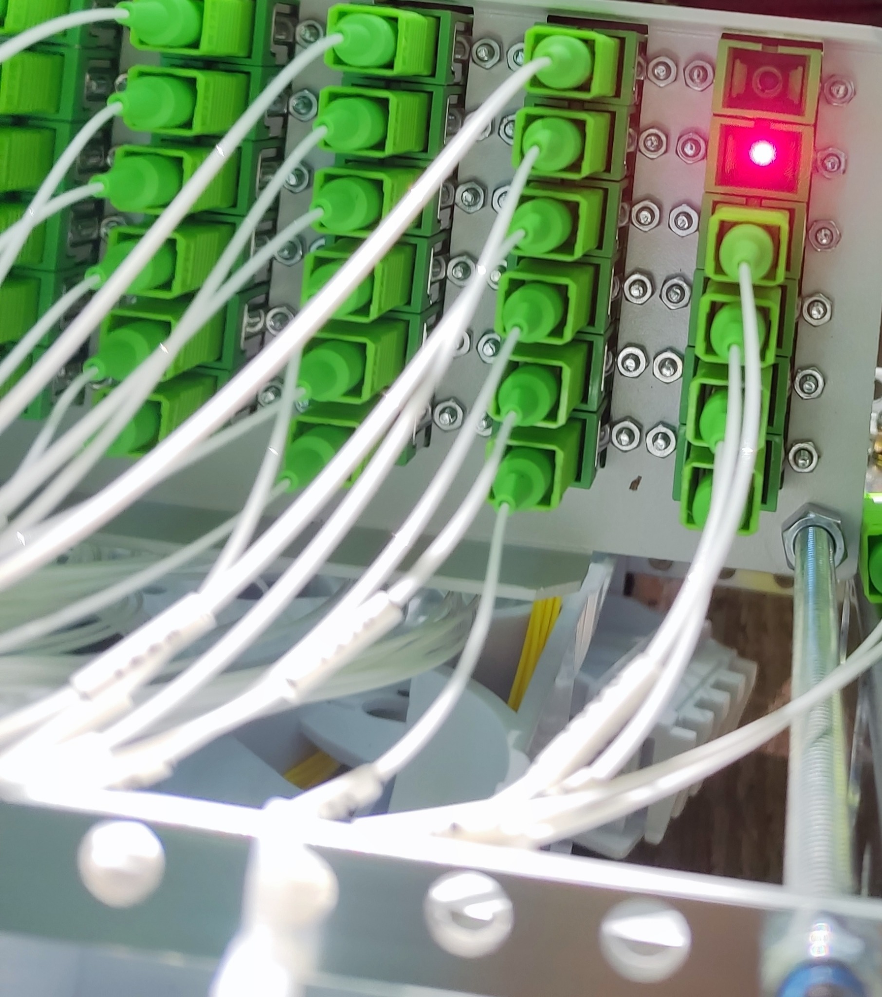 Szczegółowe ujęcie panelu światłowodowego z zielonymi złączami i białymi kablami światłowodowymi, z czerwoną diodą sygnalizacyjną w jednym z portów.