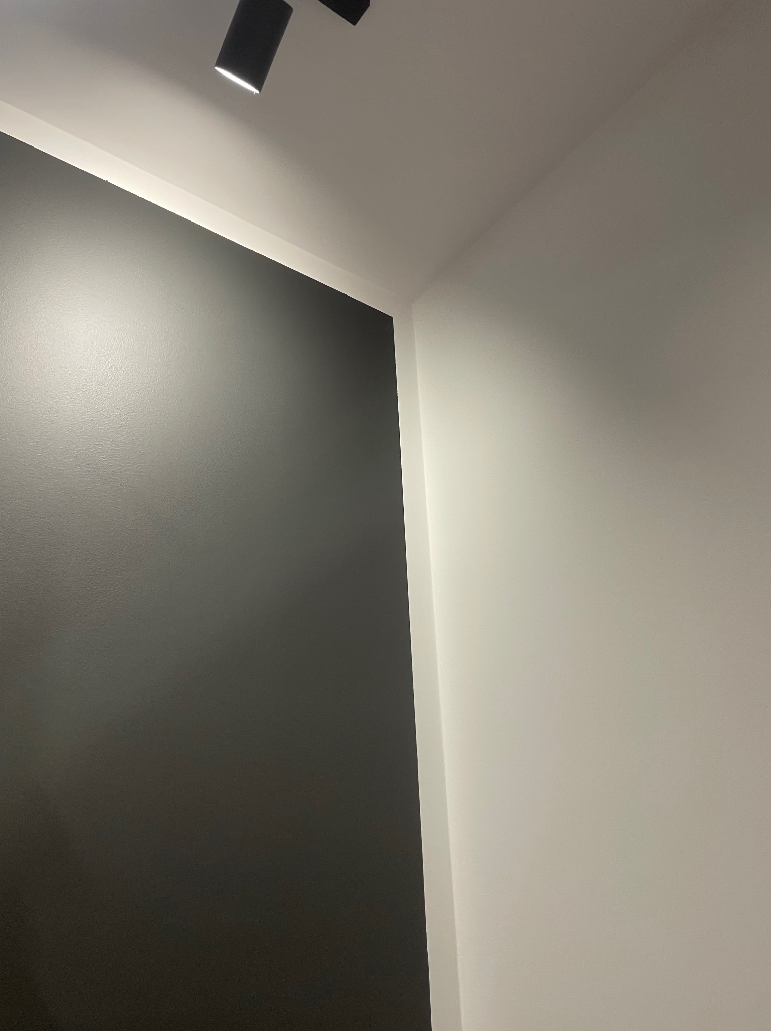 Ściana pomalowana na dwa kolory: ciemny szary i biały, oświetlona reflektorem sufitowym.